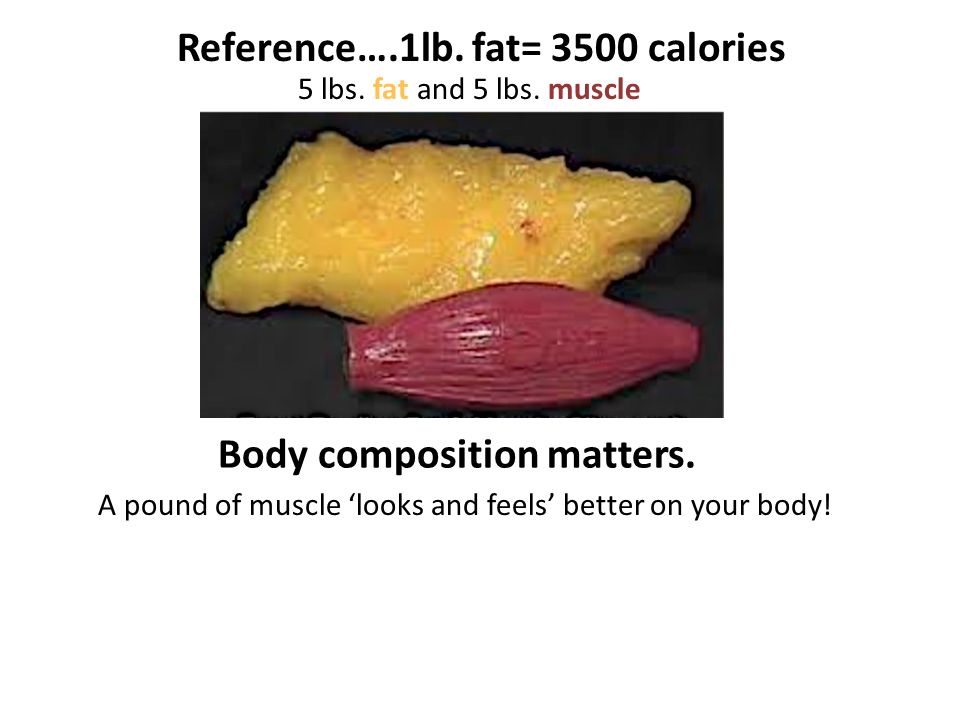 Body composition matters. A pound of muscle ‘looks and feels’ better on your body.