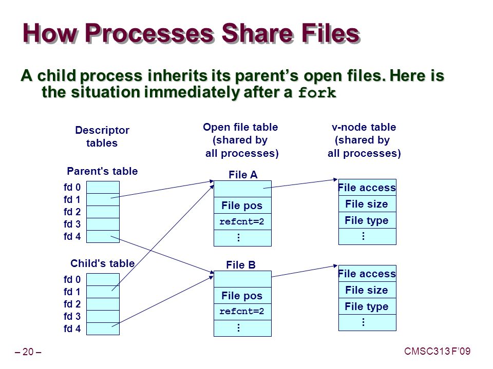 – 20 – CMSC313 F’09 How Processes Share Files A child process inherits its parent’s open files.