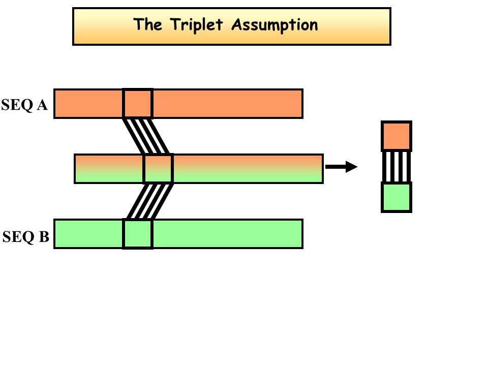 The Triplet Assumption SEQ A SEQ B