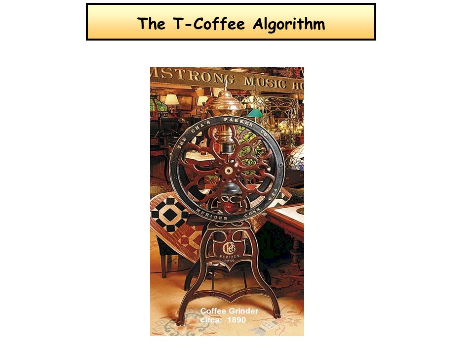 The T-Coffee Algorithm