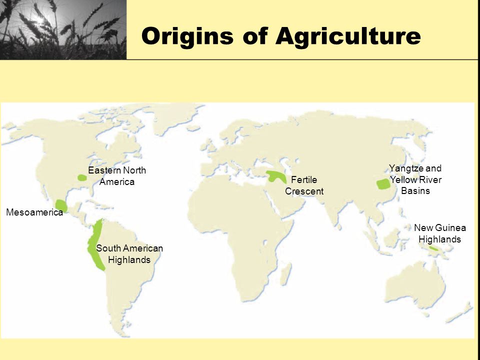 history of agriculture development agriculture agrifoods ppt download