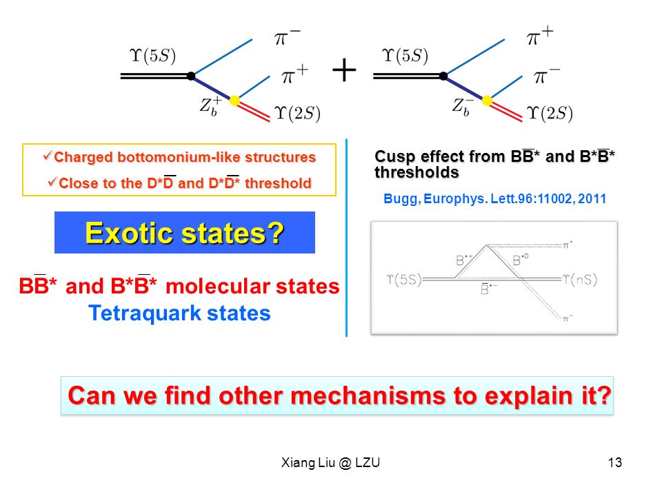 Exotic states. Xiang LZU13 Can we find other mechanisms to explain it.