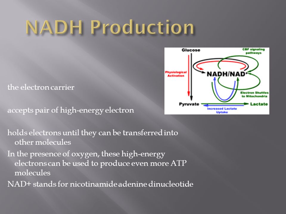 the electron carrier accepts pair of high-energy electron holds electrons until they can be transferred into other molecules In the presence of oxygen, these high-energy electrons can be used to produce even more ATP molecules NAD+ stands for nicotinamide adenine dinucleotide