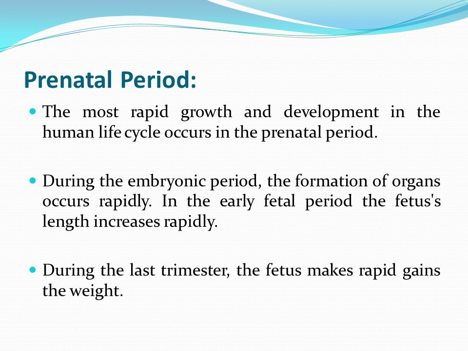 Prenatal Period: The most rapid growth and development in the human life cycle occurs in the prenatal period.