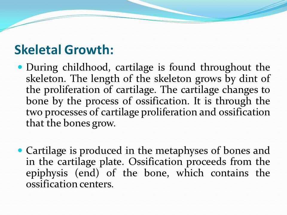 Skeletal Growth: During childhood, cartilage is found throughout the skeleton.