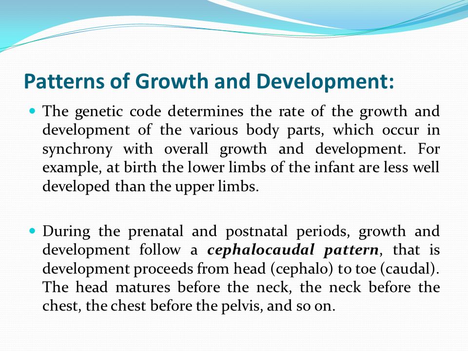 Patterns of Growth and Development: The genetic code determines the rate of the growth and development of the various body parts, which occur in synchrony with overall growth and development.