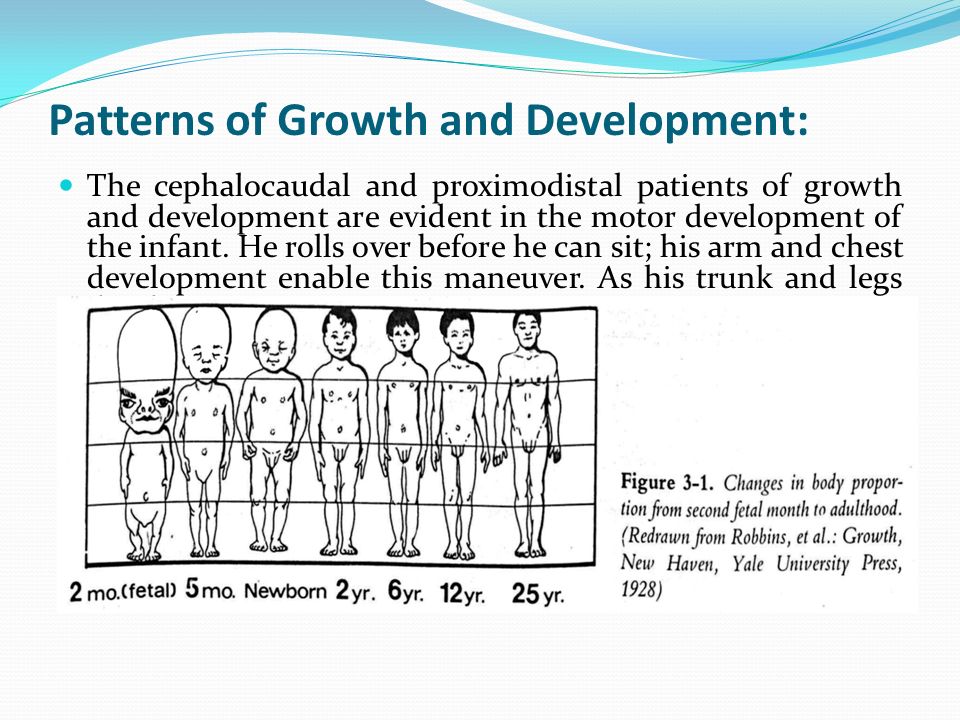 Patterns of Growth and Development: The cephalocaudal and proximodistal patients of growth and development are evident in the motor development of the infant.