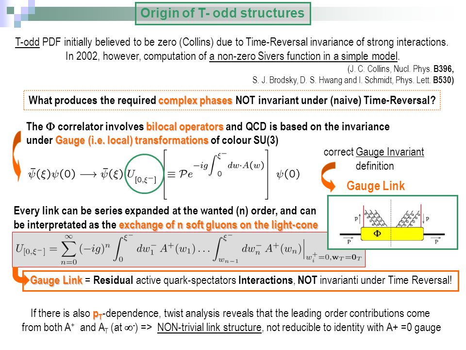 T-odd PDF initially believed to be zero (Collins) due to Time-Reversal invariance of strong interactions.