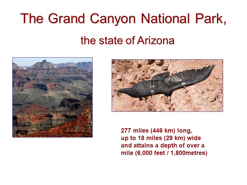 The Grand Canyon National Park, the state of Arizona 277 miles (446 km) long, up to 18 miles (29 km) wide and attains a depth of over a mile (6,000 feet / 1,800metres)