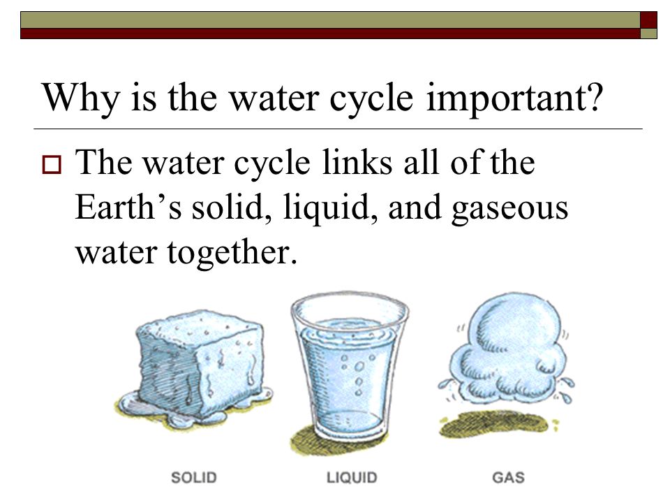 Why is the water cycle important.