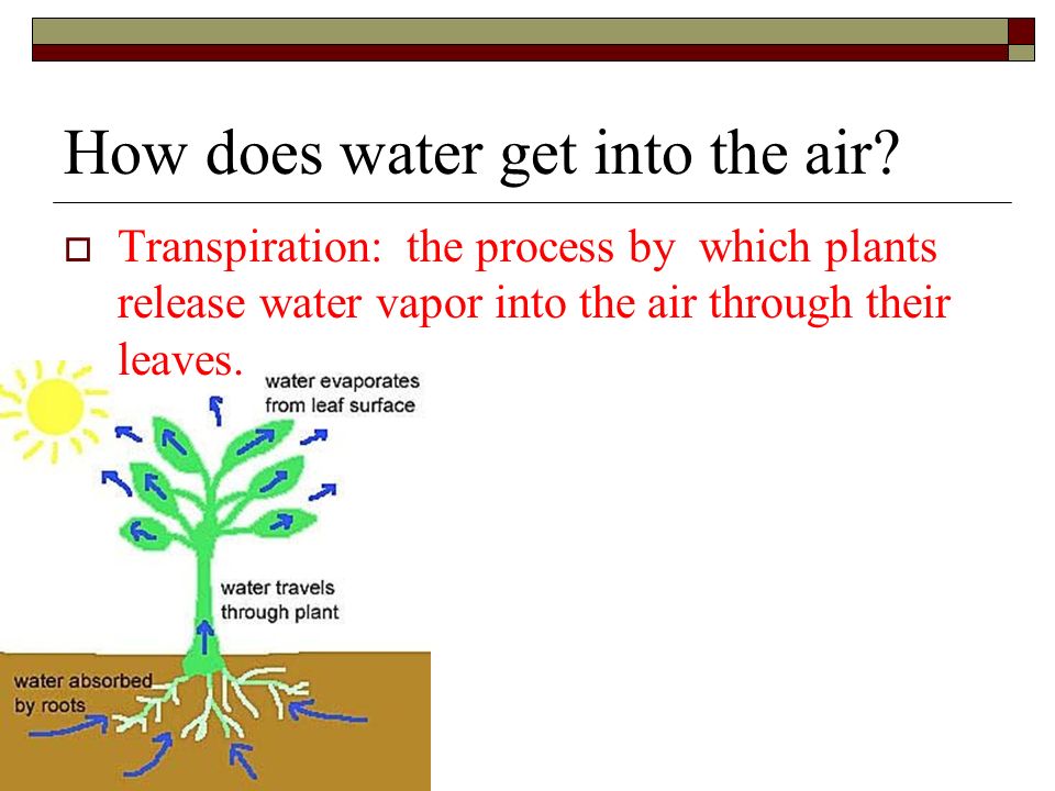 How does water get into the air.