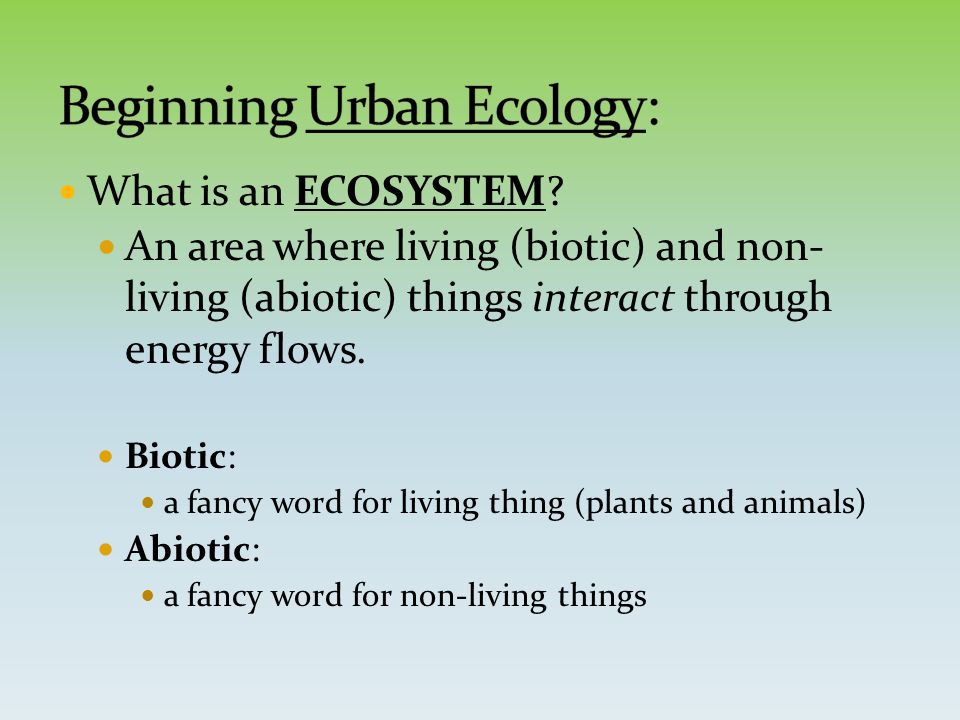 what is an ecosystem an area where living biotic and non living fancy word for green