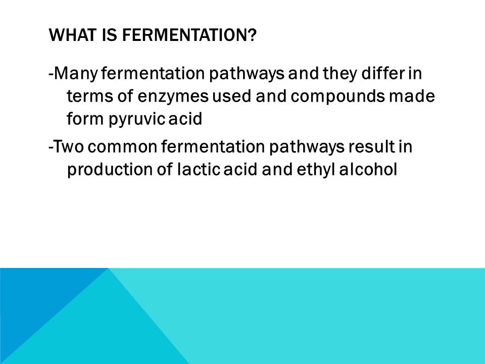 WHAT IS FERMENTATION.