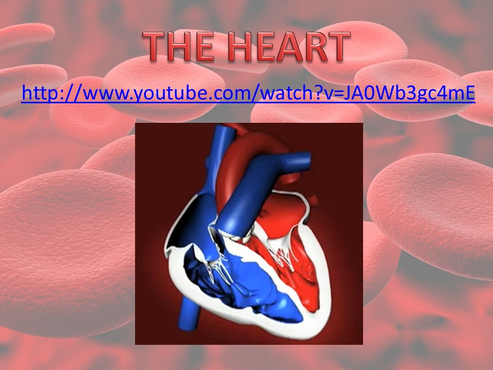 The Circulatory System Structure & Function. Knowledge of the circulatory  system – Structure & Function Heart, arteries, capillaries and veins  Explore. - ppt download