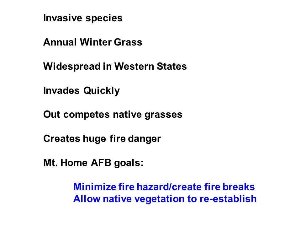 Invasive species Annual Winter Grass Widespread in Western States Invades Quickly Out competes native grasses Creates huge fire danger Mt.