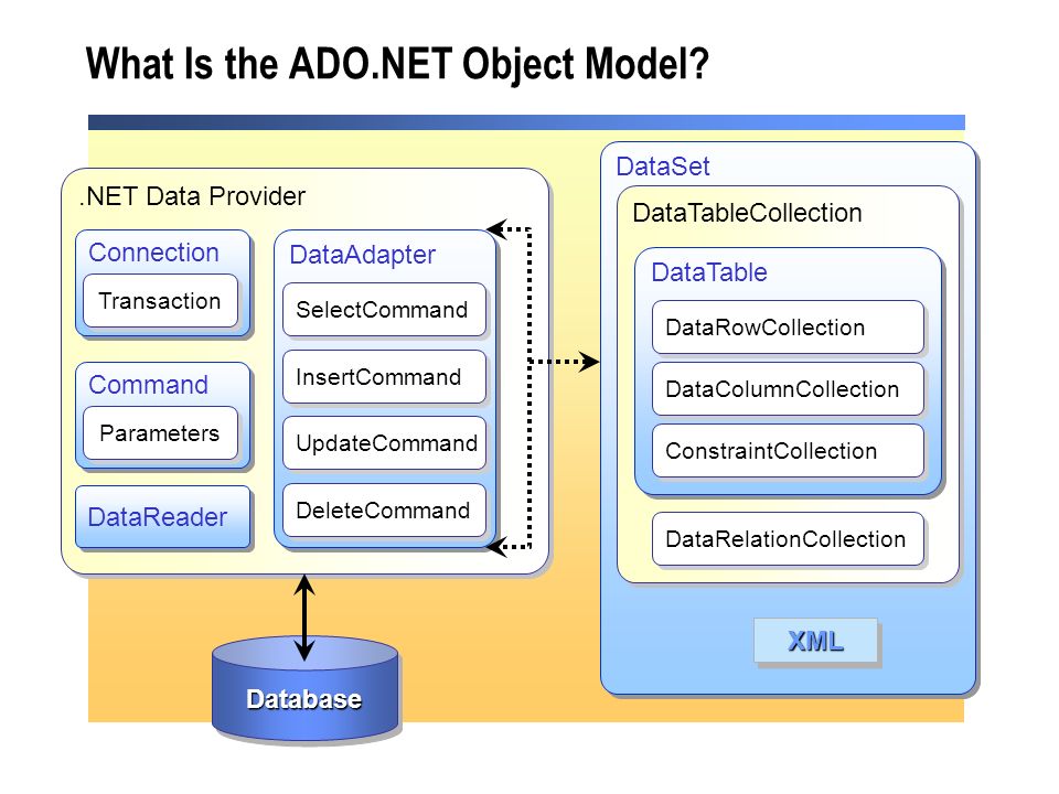 Architecture net. Архитектура ado.net. Объектная модель приложения. Объектная модель ворд. Транзакции в ado.net.