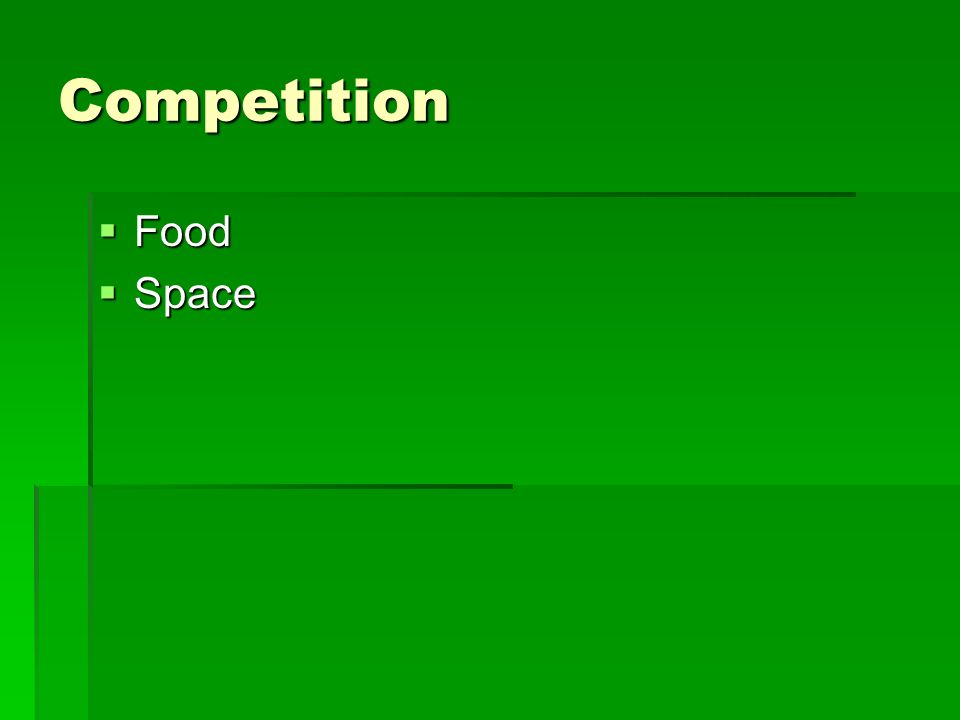 Competition  Food  Space