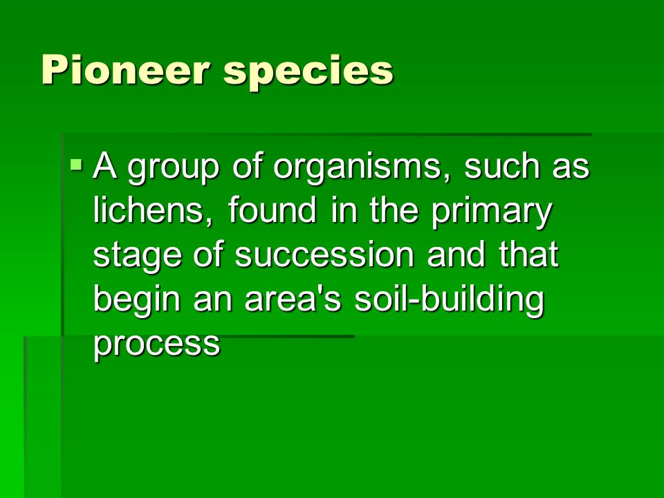 Pioneer species  A group of organisms, such as lichens, found in the primary stage of succession and that begin an area s soil-building process