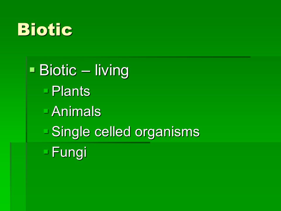 Biotic  Biotic – living  Plants  Animals  Single celled organisms  Fungi