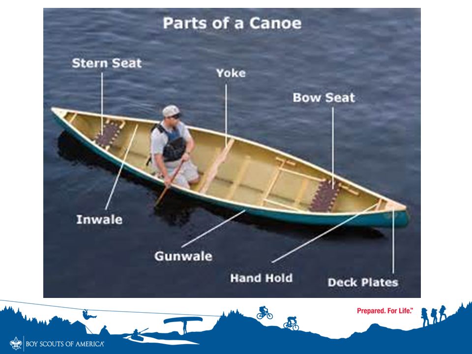 Paddle your own canoe. You should always Paddle your own Canoe advantages and disadvantages.