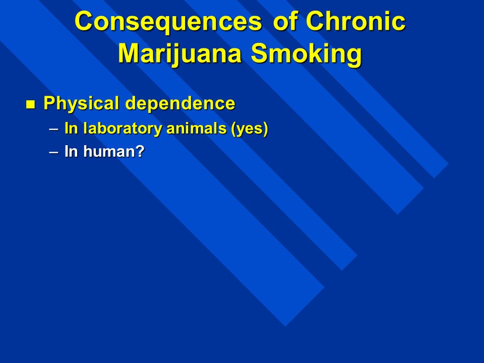Consequences of Chronic Marijuana Smoking Physical dependence Physical dependence –In laboratory animals (yes) –In human