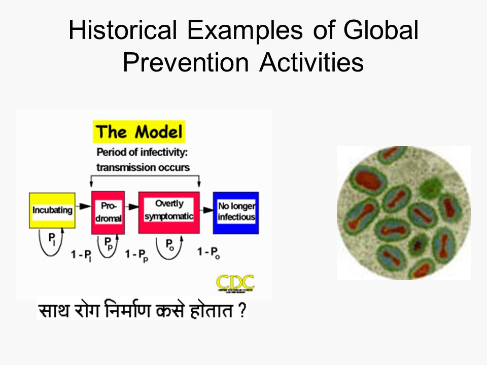 Historical Examples of Global Prevention Activities