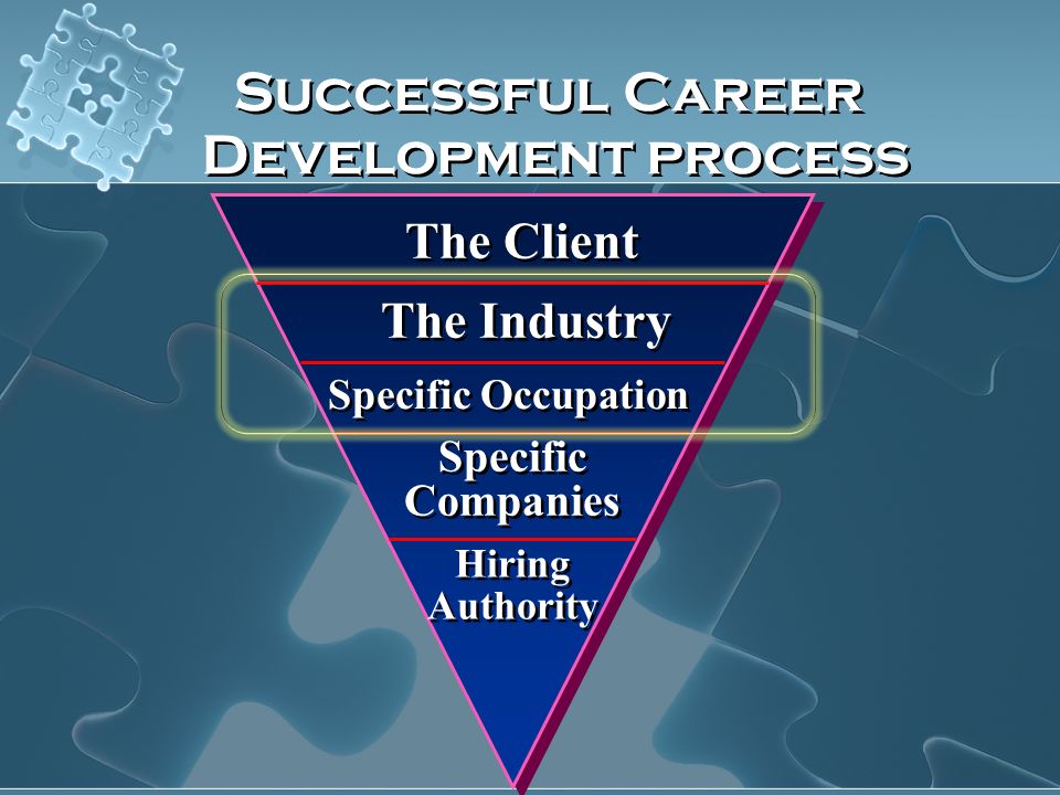 The Client The Industry Specific Occupation Specific Companies Hiring Authority Hiring Authority Successful Career Development process Successful Career Development process