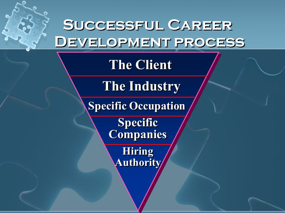 The Client The Industry Specific Occupation Specific Companies Hiring Authority Hiring Authority Successful Career Development process Successful Career Development process