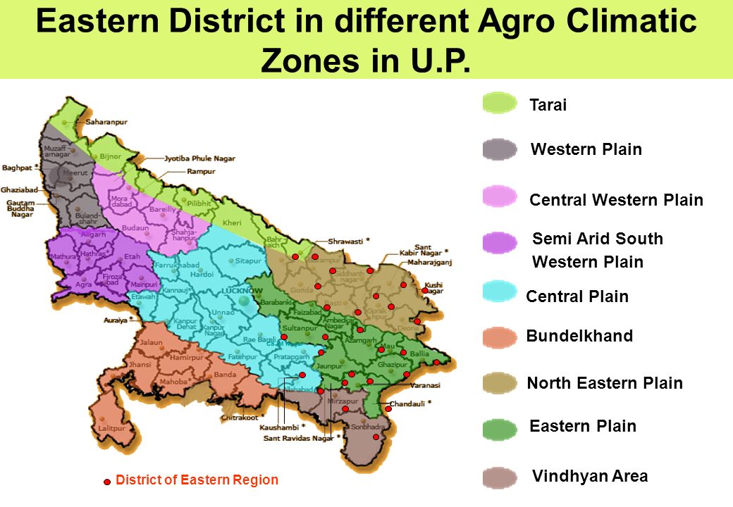 District area. Area District Region разница. Eastern District на карте. Eastern District. Southern Northern Western Eastern Southwestern упражнения.