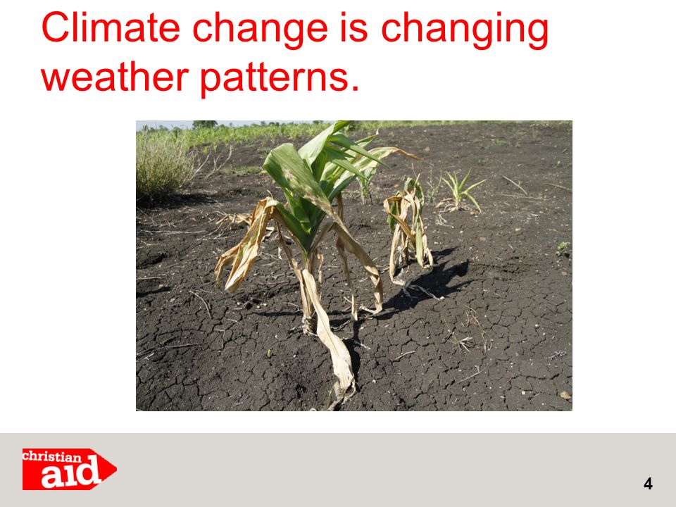Climate change is changing weather patterns. 4