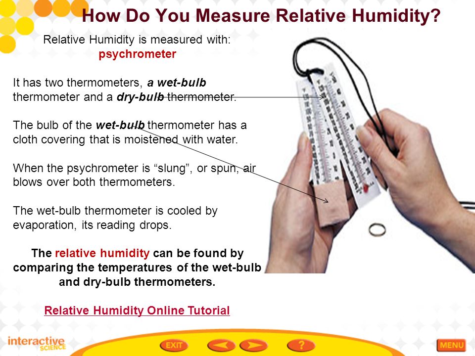 What Is Relative Humidity & How is it Measured? - Molekule