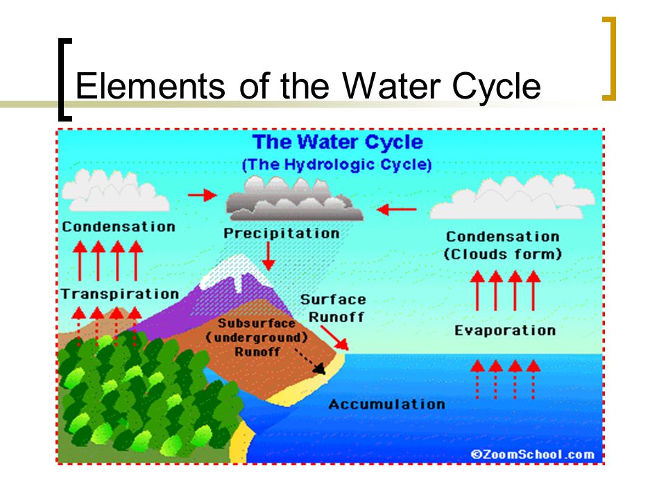 Elements of the Water Cycle