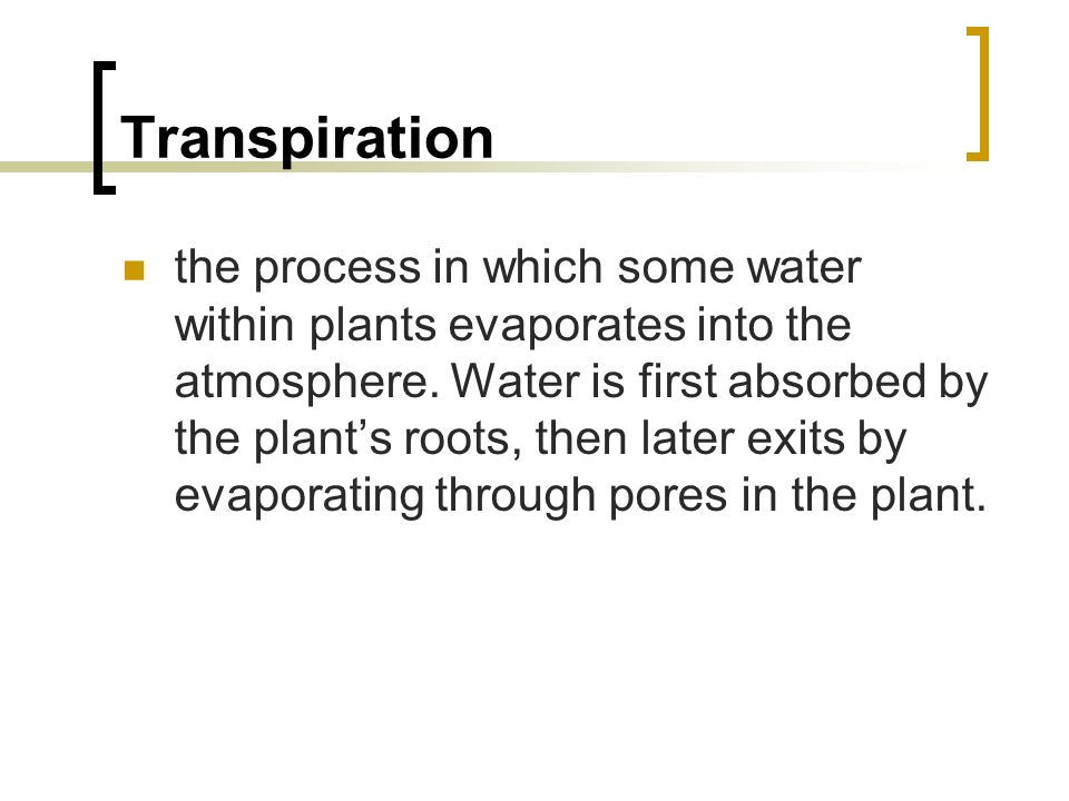 Transpiration the process in which some water within plants evaporates into the atmosphere.