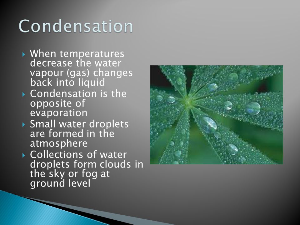  When temperatures decrease the water vapour (gas) changes back into liquid  Condensation is the opposite of evaporation  Small water droplets are formed in the atmosphere  Collections of water droplets form clouds in the sky or fog at ground level