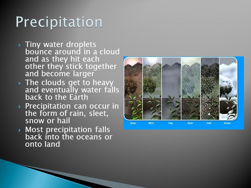  Tiny water droplets bounce around in a cloud and as they hit each other they stick together and become larger  The clouds get to heavy and eventually water falls back to the Earth  Precipitation can occur in the form of rain, sleet, snow or hail  Most precipitation falls back into the oceans or onto land