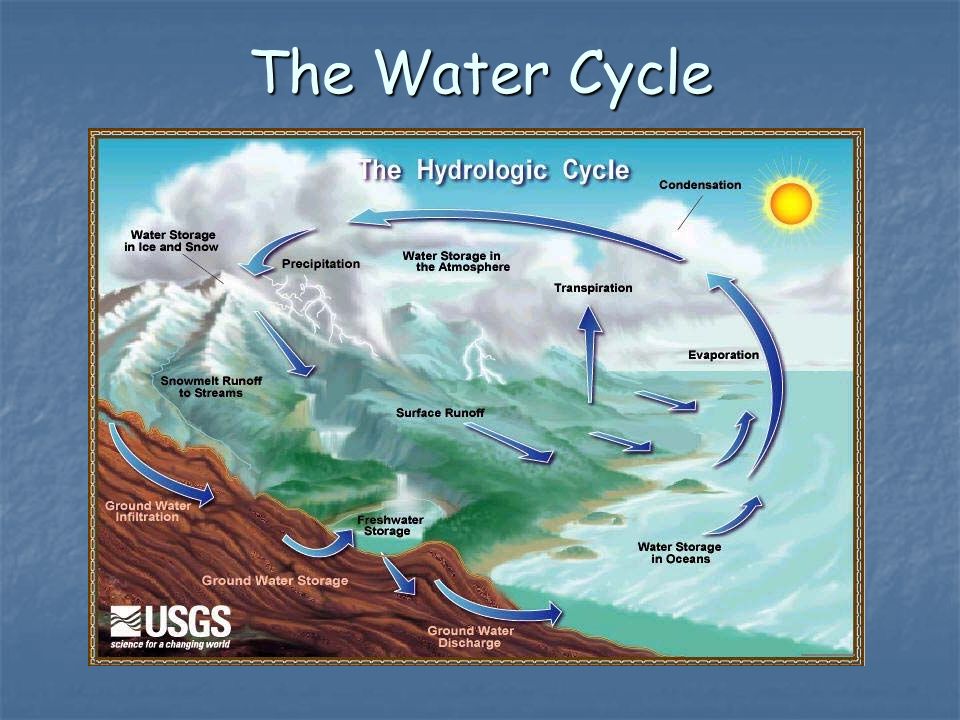 The Water Cycle Chapter The Water Cycle Water Cycle Thirstin's Water Cycle  Animation Thirstin's Water Cycle Animation Thirstin's Water Cycle Animation.  - ppt download