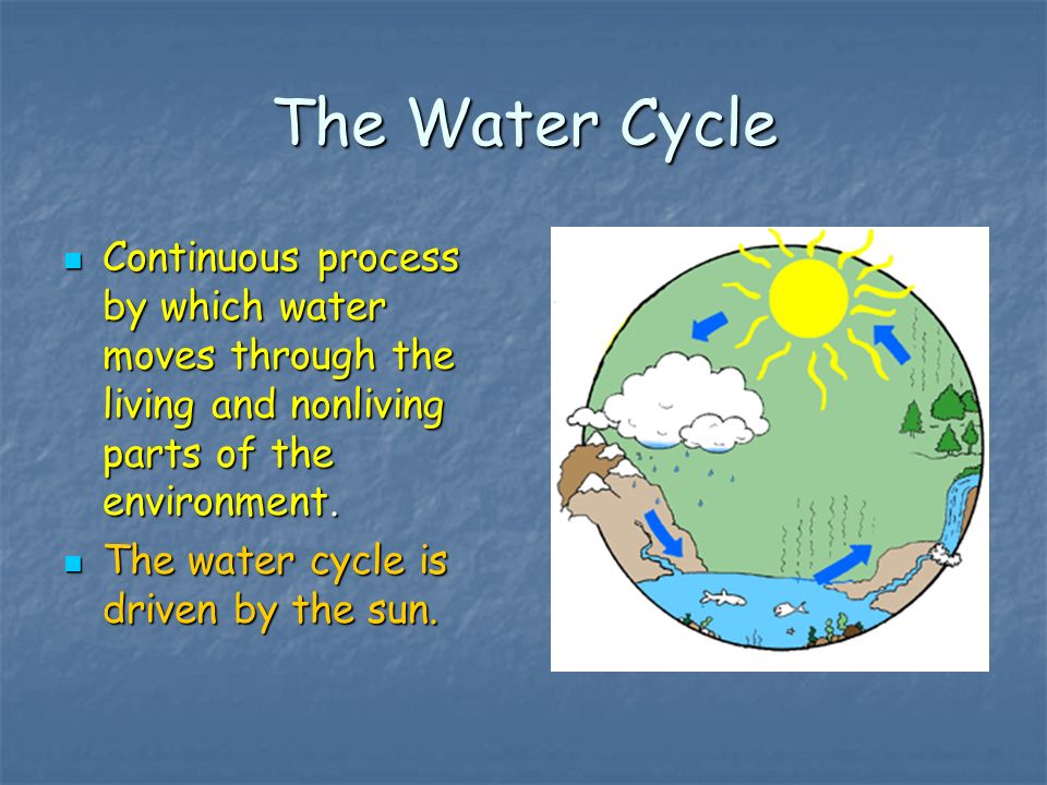 The Water Cycle Continuous process by which water moves through the living and nonliving parts of the environment.