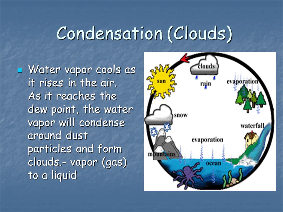 Condensation (Clouds) Condensation (Clouds) Water vapor cools as it rises in the air.