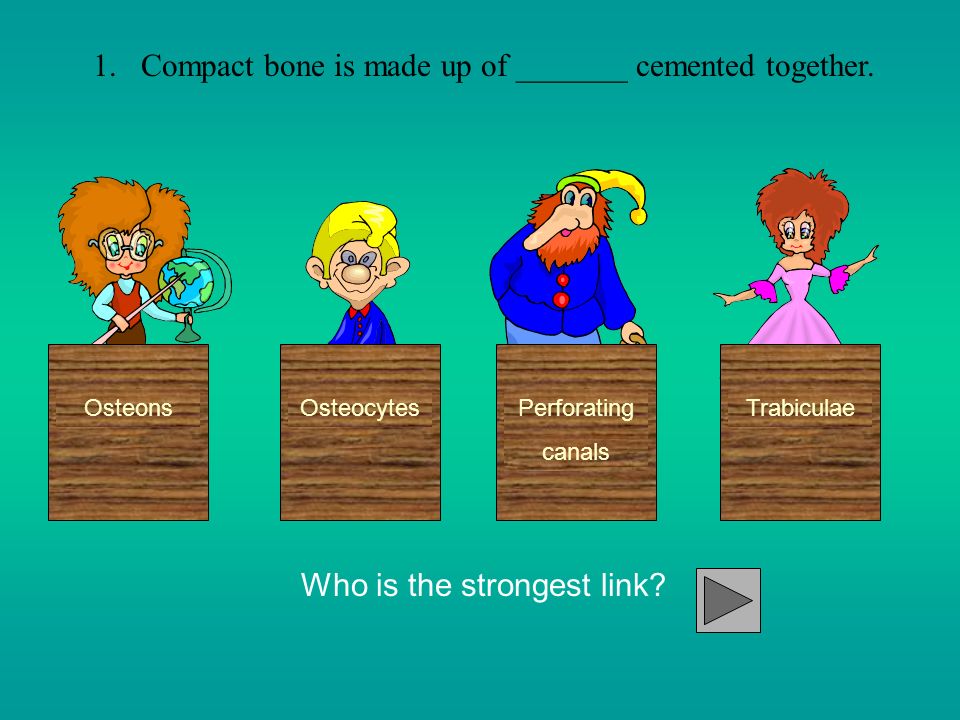 1.Compact bone is made up of _______ cemented together.