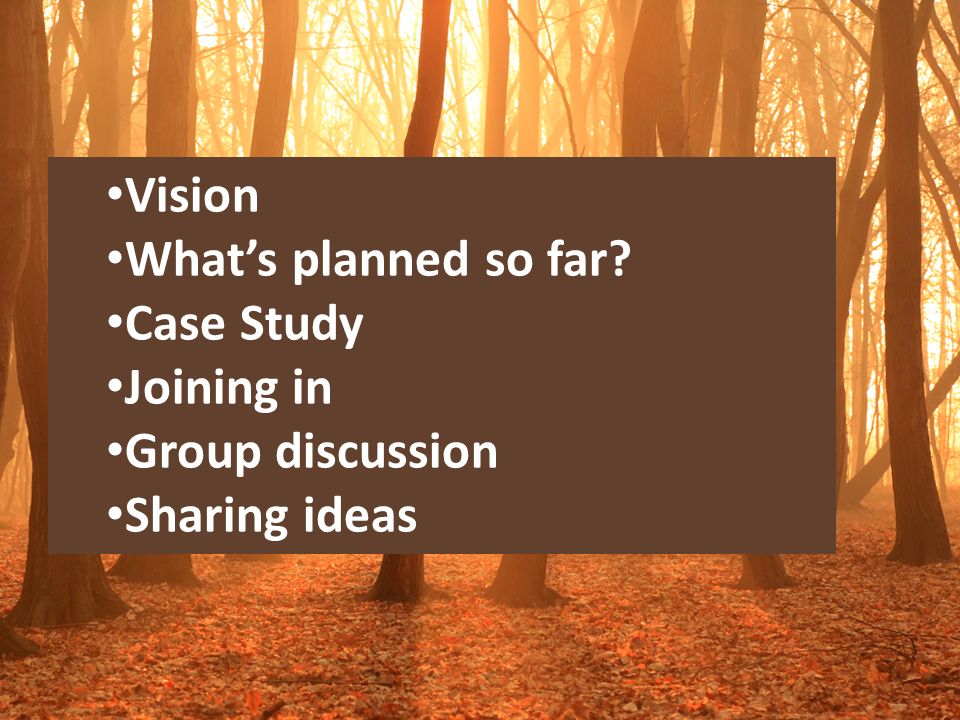 Vision What’s planned so far Case Study Joining in Group discussion Sharing ideas