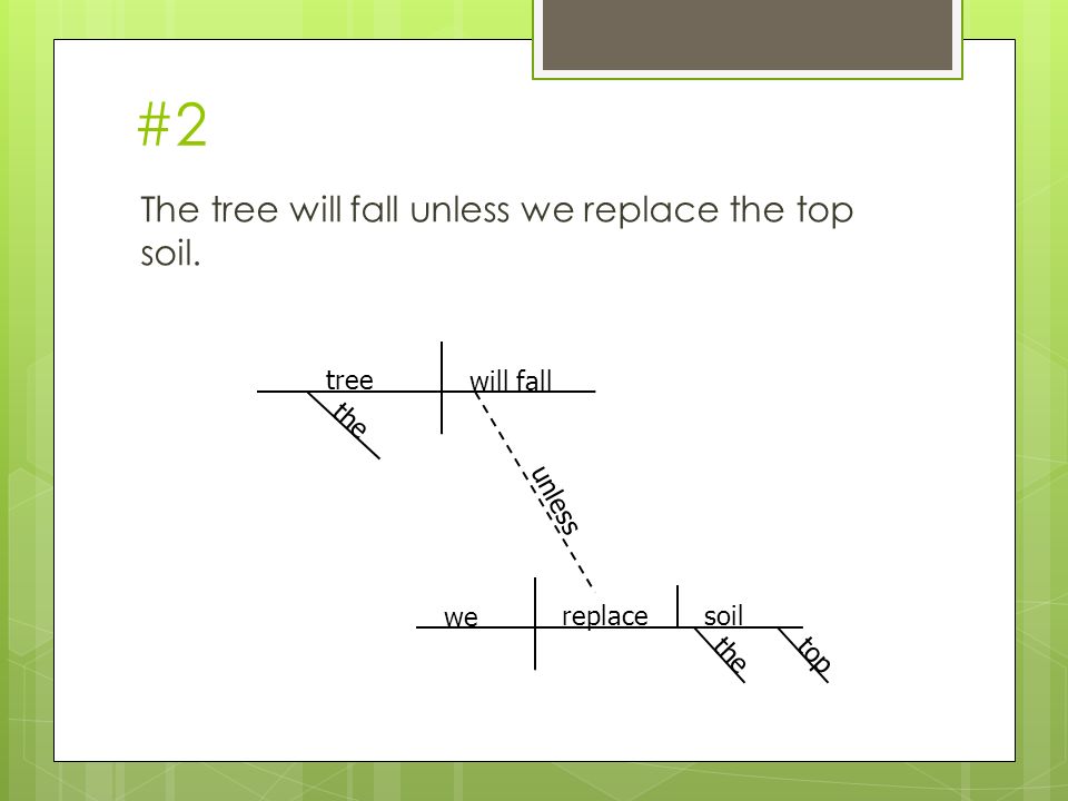 #2 The tree will fall unless we replace the top soil.