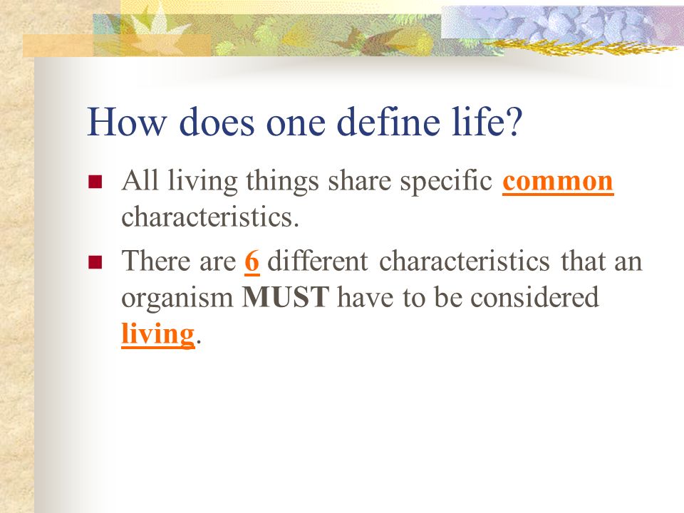 Living things - Definition, Characteristics and Examples