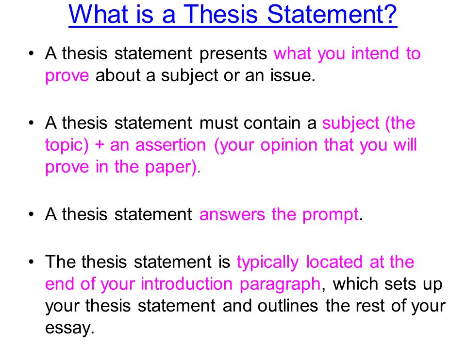 a thesis statement must do what