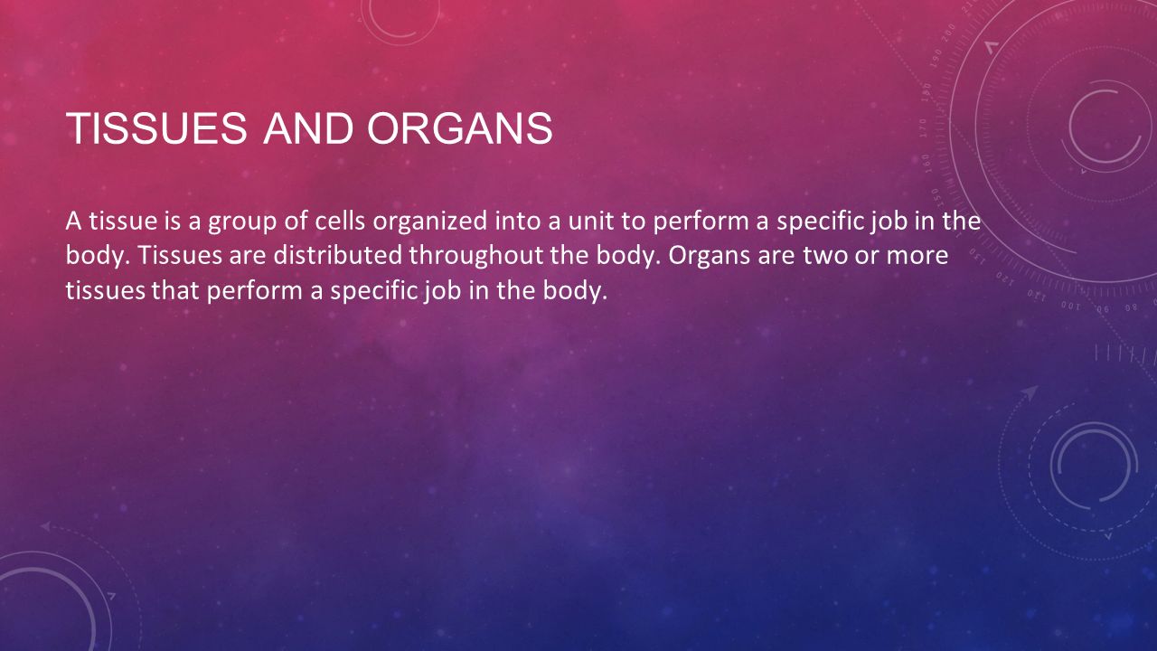 TISSUES AND ORGANS A tissue is a group of cells organized into a unit to perform a specific job in the body.
