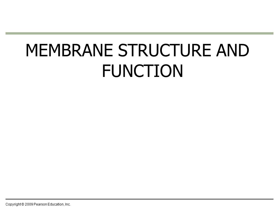 MEMBRANE STRUCTURE AND FUNCTION Copyright © 2009 Pearson Education, Inc.