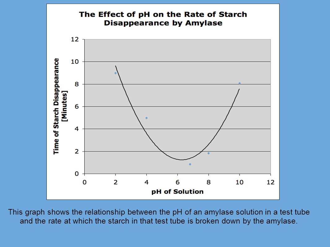 the effect of amylase on starch
