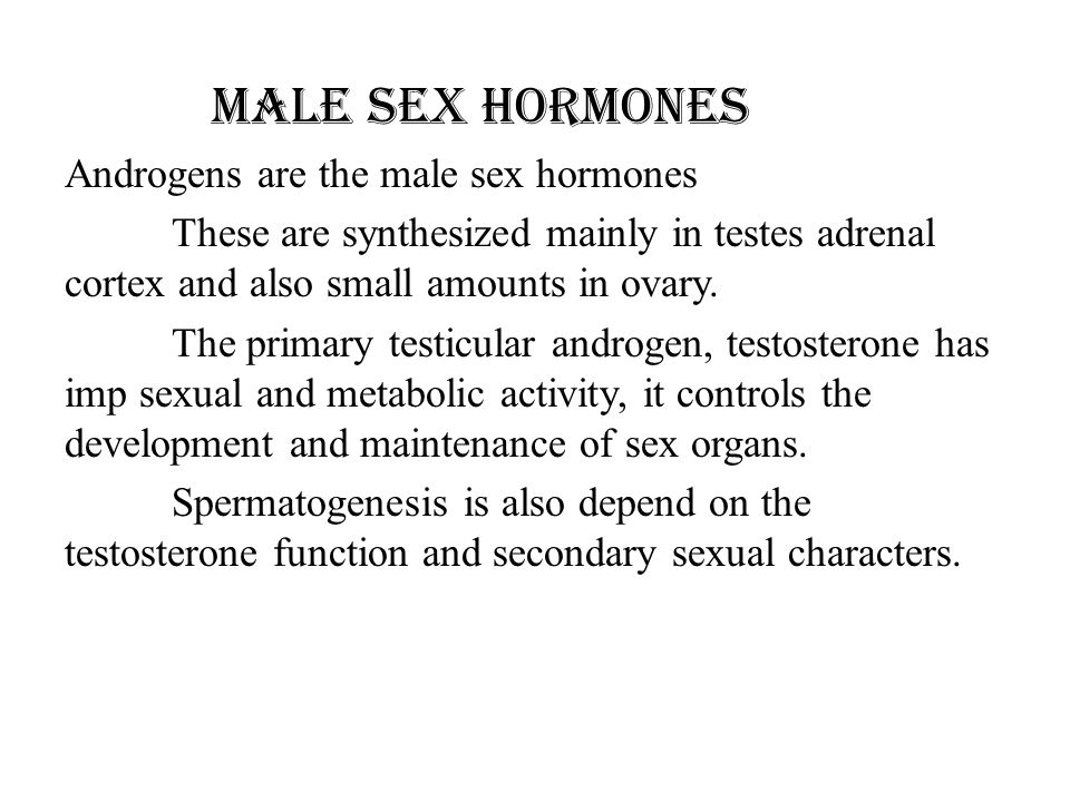 MALE SEX HORMONES Androgens are the male sex hormones These are synthesized mainly in testes adrenal cortex and also small amounts in ovary.