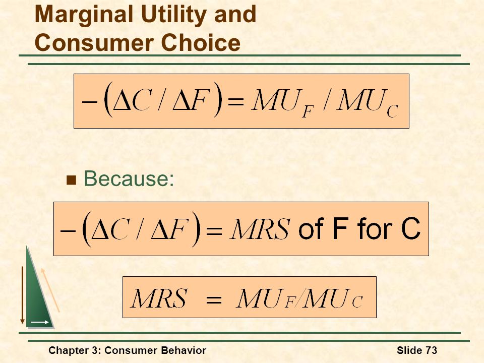 Chapter 3 Consumer Behavior. Chapter 3: Consumer BehaviorSlide 2 ...