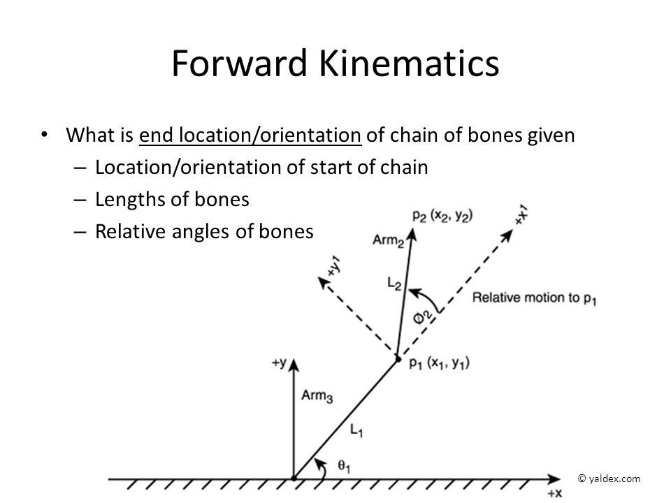 Forward Kinematics What is end location/orientation of chain of bones given – Location/orientation of start of chain – Lengths of bones – Relative angles of bones © yaldex.com
