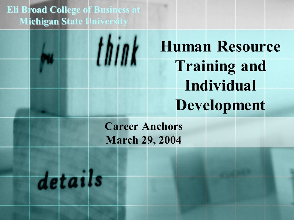 Career Anchors March 29, 2004 Human Resource Training and Individual Development Eli Broad College of Business at Michigan State University